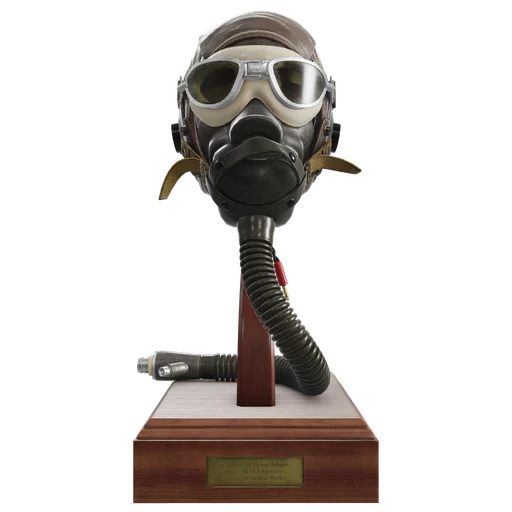 Flight Helmet
