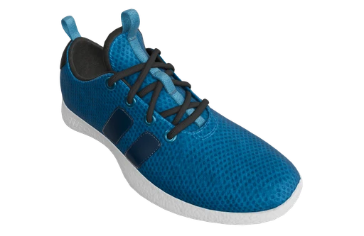 Materials Variants Shoe